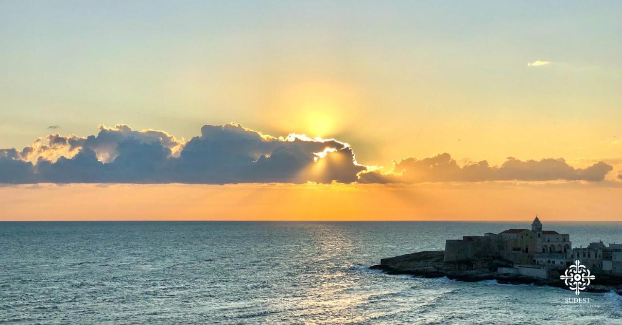 Infinito - Attico Sul Mare Vieste Exterior foto
